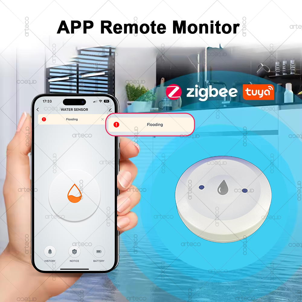 Tuya – capteur d'eau intellige - Smart Home Gateway avis et prix