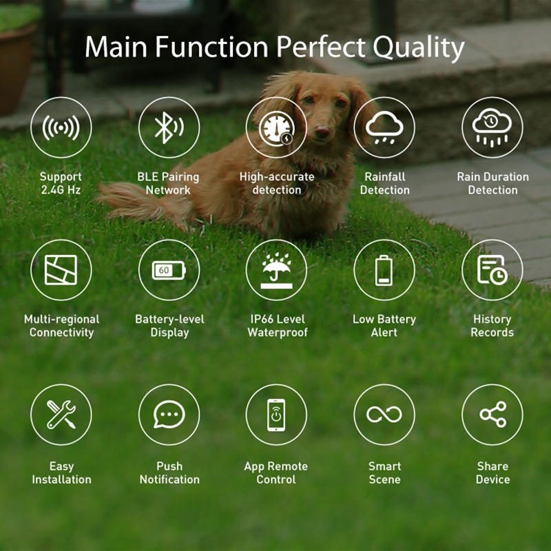 Capteur de pluie WiFi, détecti - Smart Home Outdoor avis et prix
