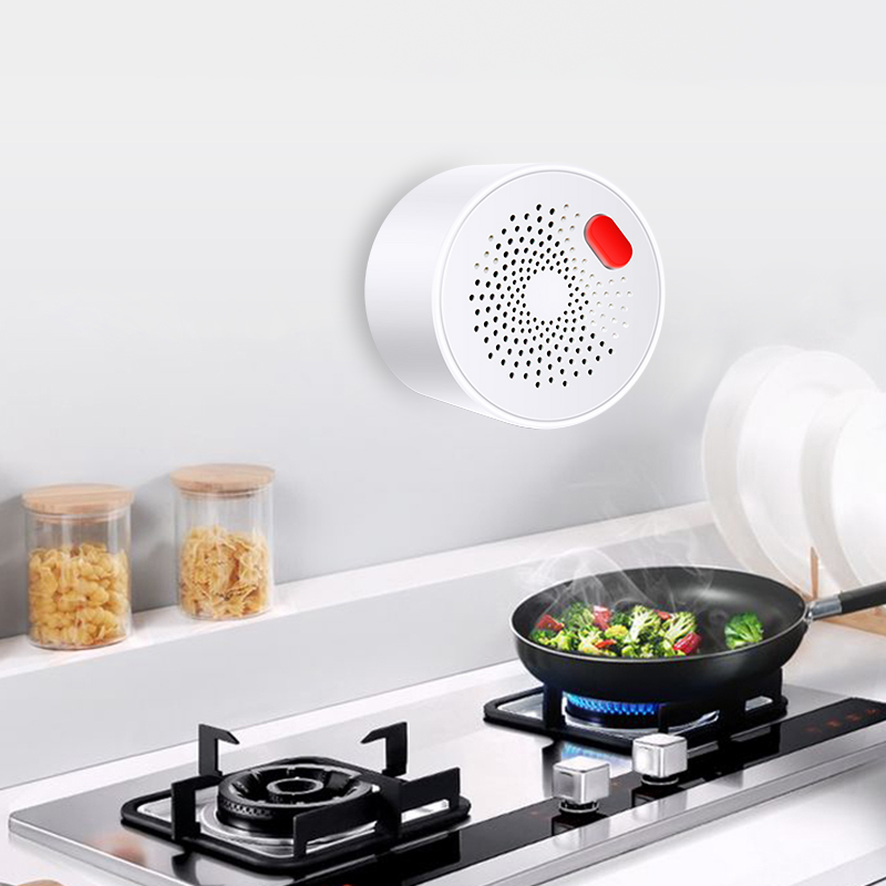 Tuya-Capteur de gaz naturel do - Smart Home Outdoor avis et prix