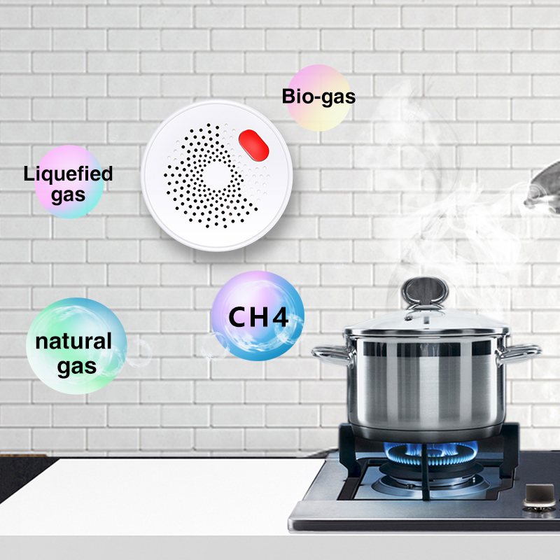 Tuya-Capteur de gaz naturel do - Smart Home Outdoor avis et prix