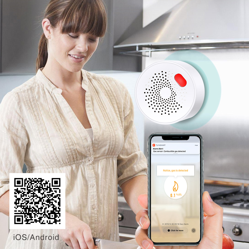Tuya-Capteur de gaz naturel do - Smart Home Outdoor avis et prix
