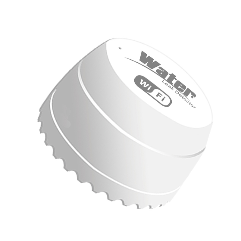 Détecteur de fuite d'eau Wifi, - Smart Home Outdoor avis et prix